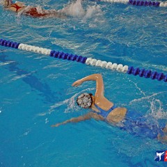 Чемпионат и первенство Приамурья по плаванию начались в бассейне "Надежда"