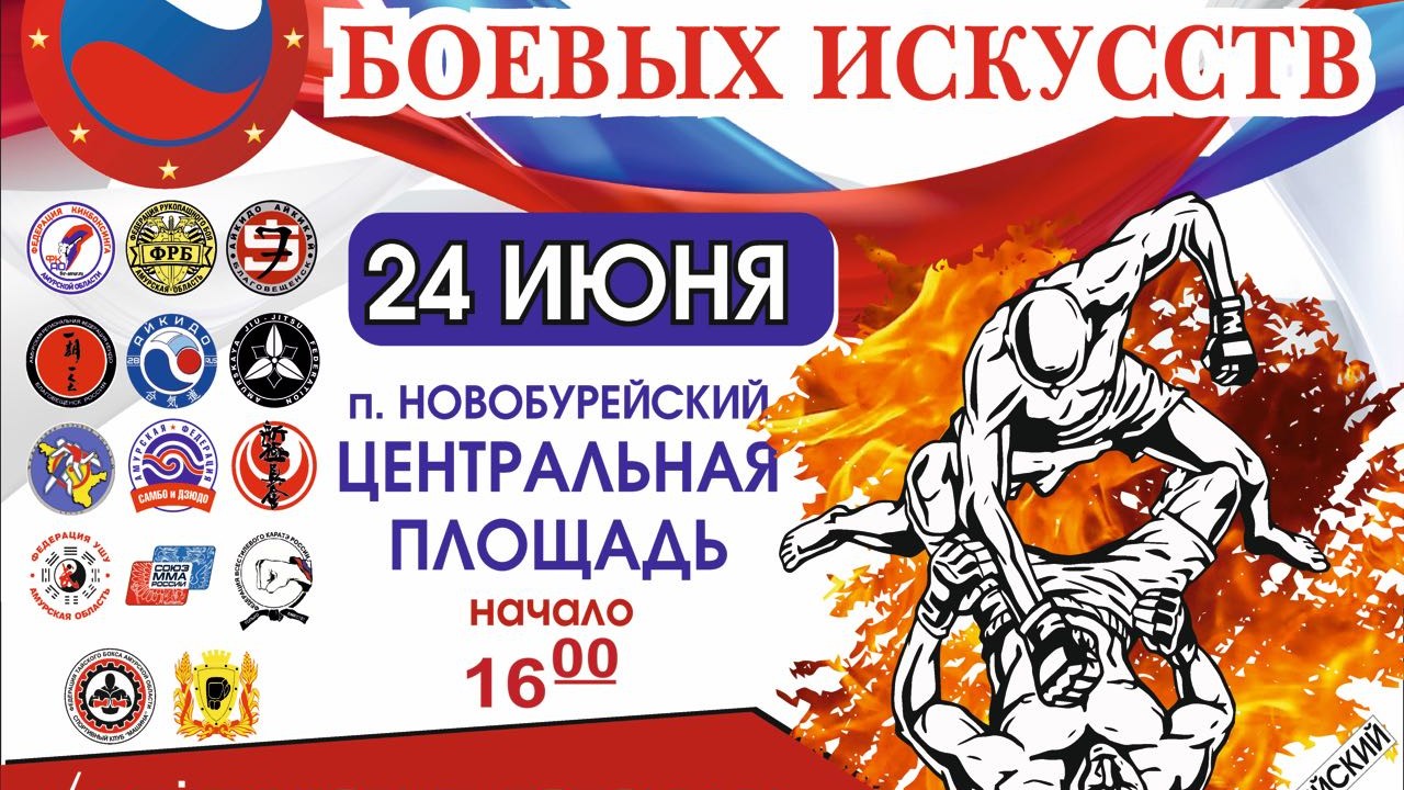 24 июня в п.Новобурейский состоится Первый районный фестиваль боевых искусств