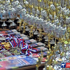 "Рождественский" турнир по борьбе самбо собрал около 250 спортсменов