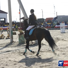 16-летняя благовещенка выиграла 50 тысяч рублей на соревнованиях по конному спорту на призы Губернатора Приамурья