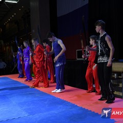В Благовещенске с грандиозным успехом прошли II Открытые Юношеские Игры боевых искусств Амурской области. Гала-финалы. Фоторепортаж
