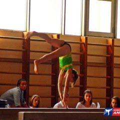 Городкой чемпионат по спортивной гимнастике завершился в Благовещенске