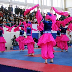 Фестиваль спорта под девизом "МЫ ВЫБИРАЕМ СПОРТ И ГРАЦИЮ!" состоялся в амурской столице