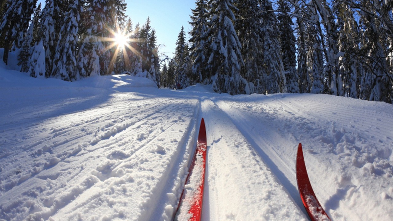31 декабря состоится Первенство Благовещенска по лыжным гонкам