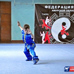 Открытый чемпионат и первенство Амурской области по традиционному ушу проходили в Благовещенске
