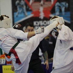 Амурские бойцы привезли медали разного достоинства с Открытого Кубка Содружества Федераций Киокушинкай каратэ