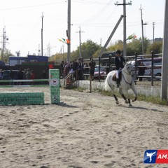 16-летняя благовещенка выиграла 50 тысяч рублей на соревнованиях по конному спорту на призы Губернатора Приамурья