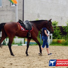 Соревнования по адаптивному конному спорту и манежной езде состоялись в амурской столице