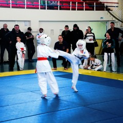 Областные чемпионат и первенство по шинкёкушин карате состоялись в амурской столице