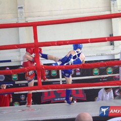 Чемпионат и Первенство ДФО по тайскому боксу состоялись в областном центре Приамурья. Фоторепортаж