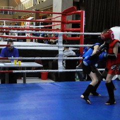 Чемпионат и первенство Приамурья по тайскому боксу "прогремели" в областной столице