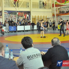 Чемпионат и первенство Приамурья по вольной борьбе проходили в с/к "Юность". Фоторепортаж