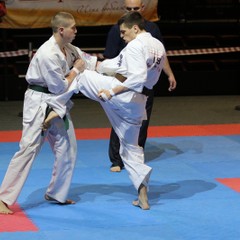 Амурские каратисты добились успехов на Кубке содружества всероссийских федераций Киокушинкай карате