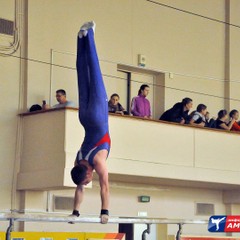 В столице Приамурья проходят чемпионат и первенство ДФО по спортивной гимнастике