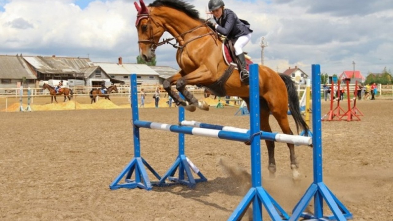 Чемпионат и Первенство Благовещенска по конному спорту состоятся 5-6 августа