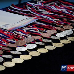 В первенстве и чемпионате Благовещенска по ушу-таолу приняли участие спортсмены от 5 до 50 лет