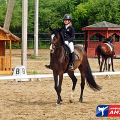 Соревнования по адаптивному конному спорту и манежной езде состоялись в амурской столице