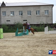 Cоревнования по конному спорту завершились в областном центре (ФОТО)