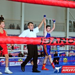 В амурской столице завершился Дальневосточный турнир по боксу памяти В.П.Лихогра