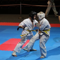 Амурские каратисты добились успехов на Кубке содружества всероссийских федераций Киокушинкай карате