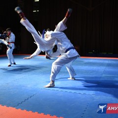 В Благовещенске с грандиозным успехом прошли II Открытые Юношеские Игры боевых искусств Амурской области. Гала-финалы. Фоторепортаж
